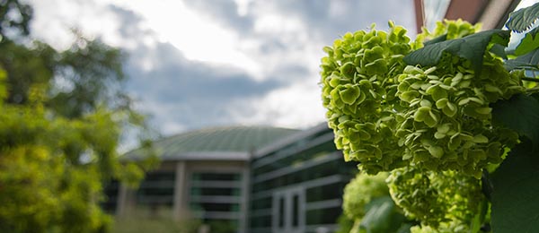 flowers outside of erickson hall