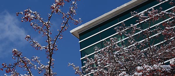 outside of a building on a spring day where trees are budding