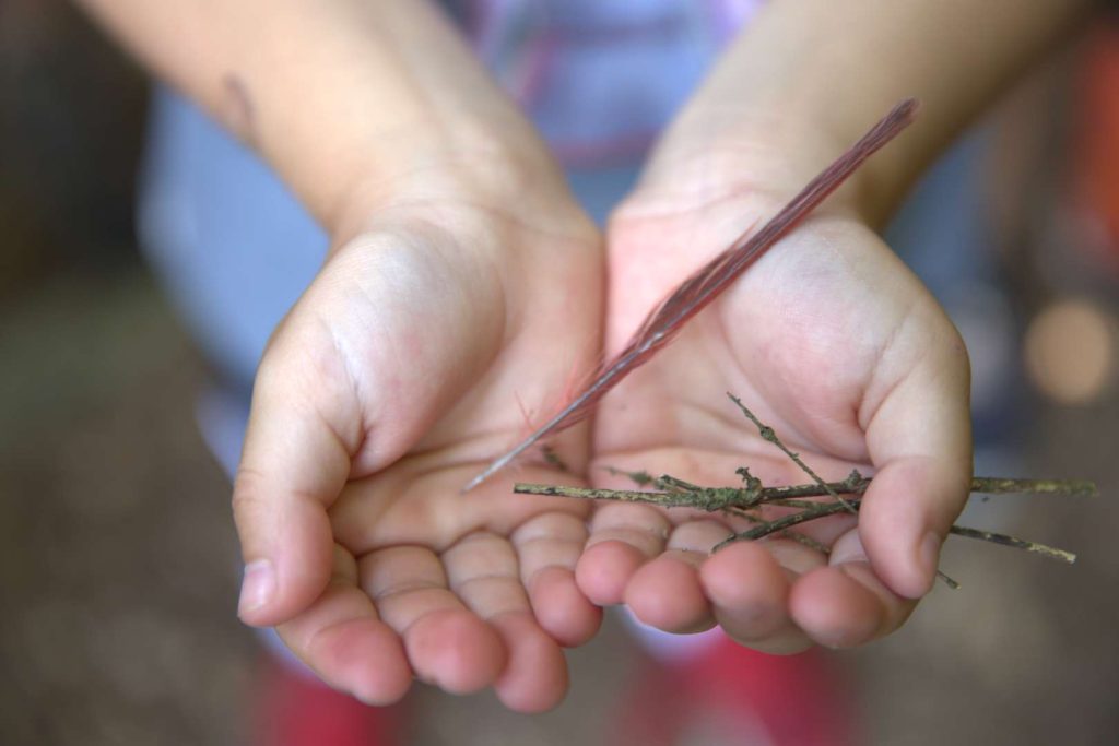 A child's hands held together with palms facing out. There is a feather and twigs in the child's palms.