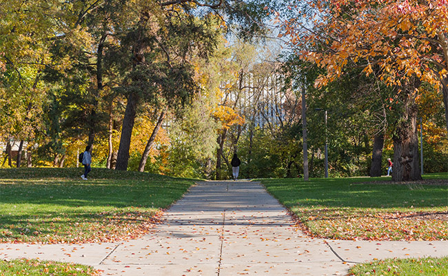 Fall at MSU; trees are changing colors and students walk on the sidewalks