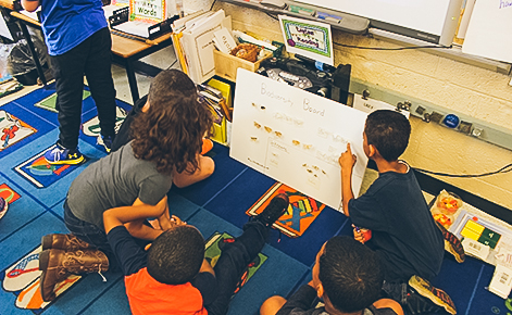 Students in classroom reviewing a poster with moth specimens and information.